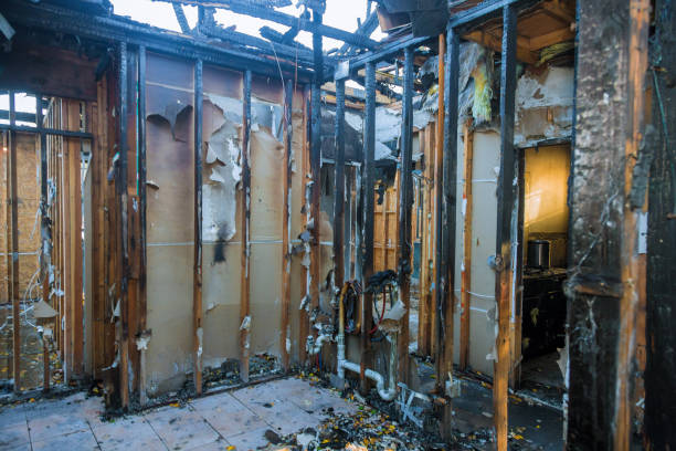 Professional Fire Damage Removal technician working in Shannondale, WV